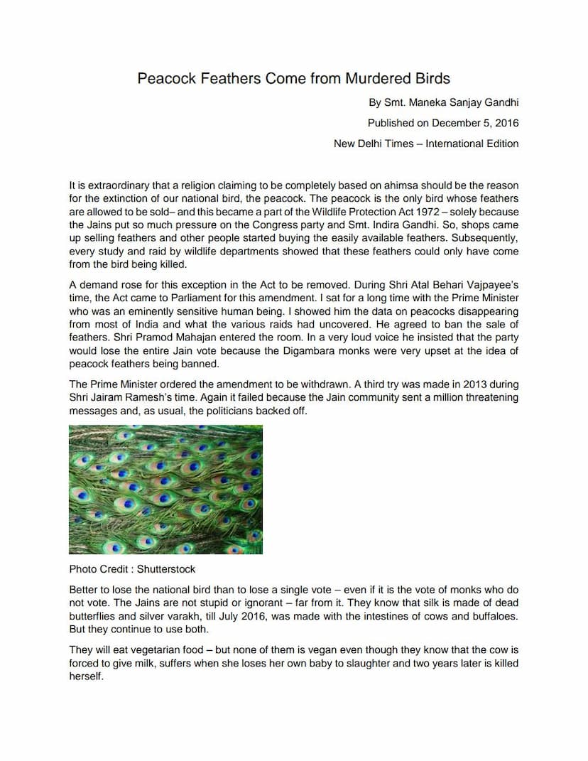 First page of Peacock Feathers Come From Murdered Birds