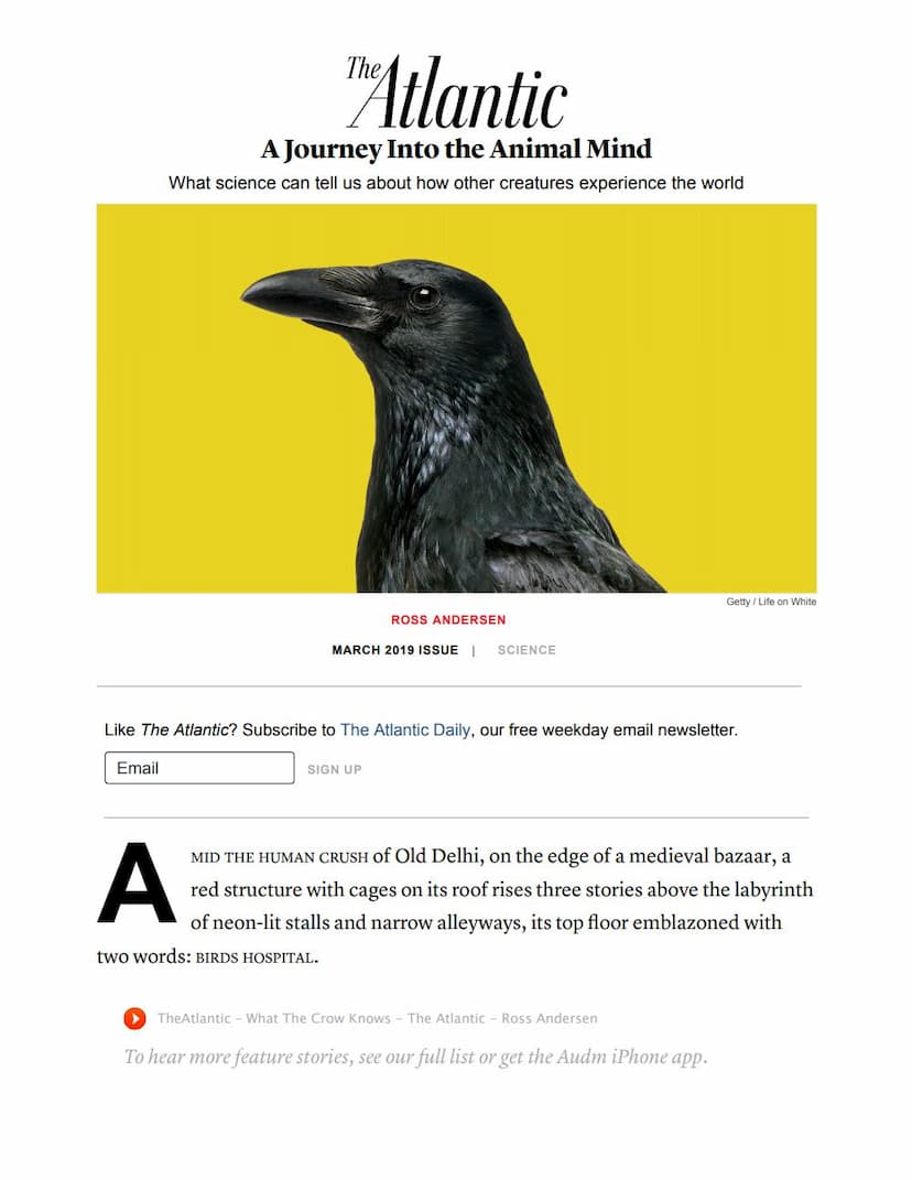 First page of Journey Into The Animal Mind