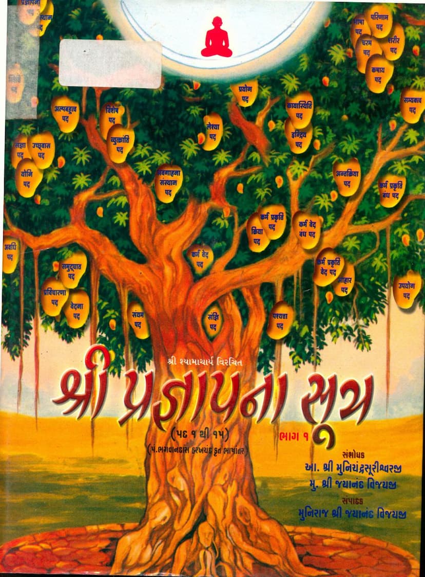 First page of Pragnapana Sutra Part 01