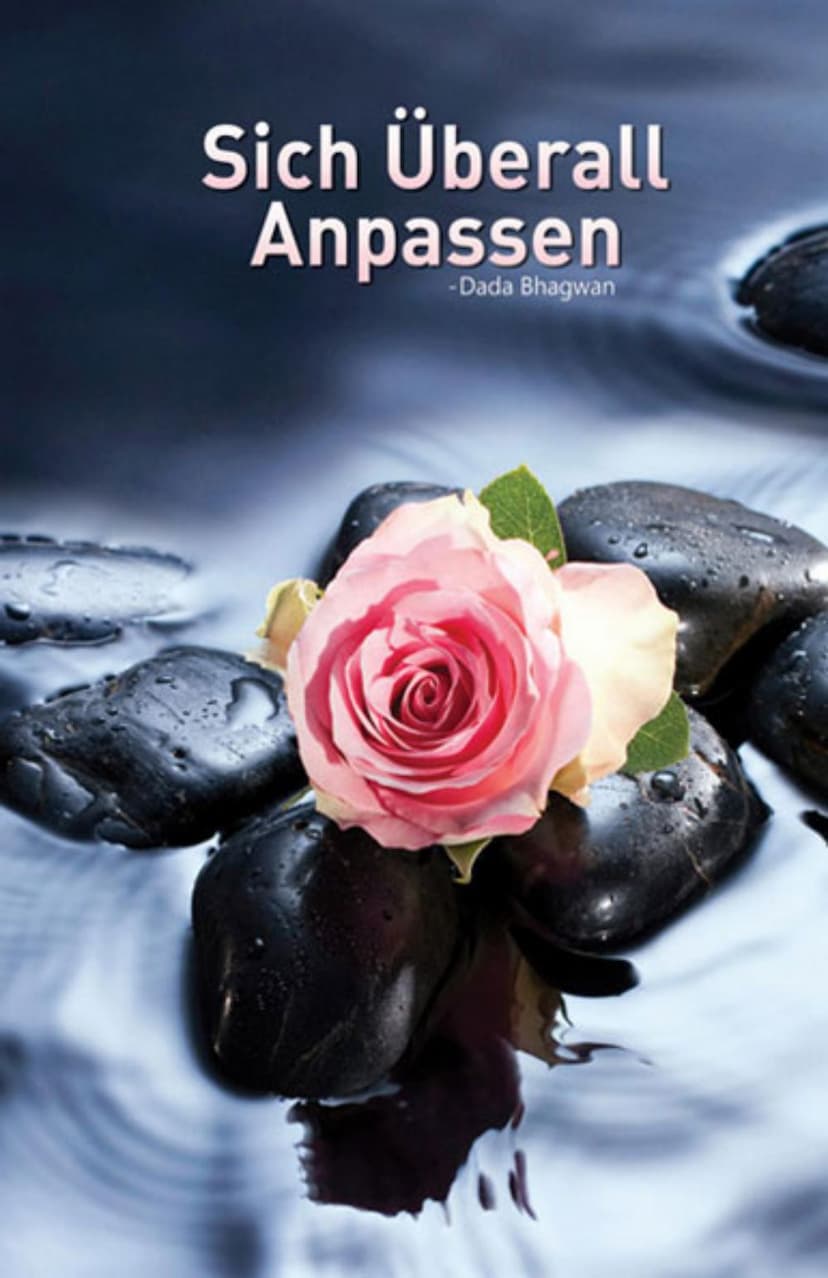 First page of Adjust Every Where