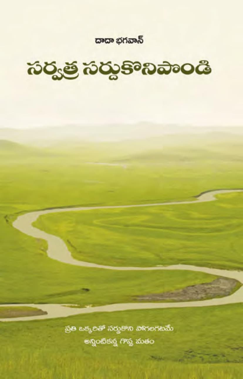 First page of Adjust Every Where