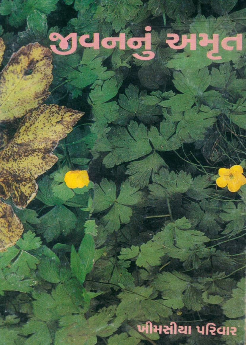 First page of Jivannu Amrut