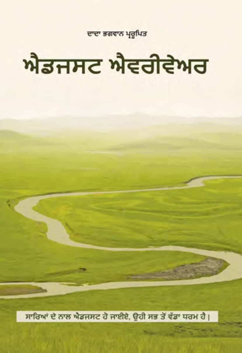 First page of Adjust Every Where